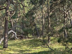 8 person holiday home in Melby-By Traum