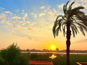 Nile Compound Garden