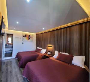 Vista Zacatlan Hotel