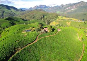 Paradise Premium Villa Munnar