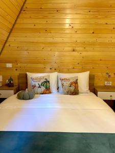 A Frame Bâlea Chalet