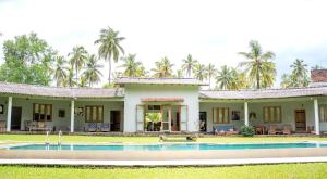 Rivendell Twisted Tree