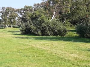 8 person holiday home in Læsø-By Traum