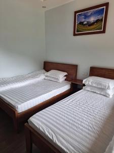 Nhà nghỉ kim đồng