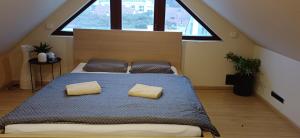 Rooftop Deluxe apartment