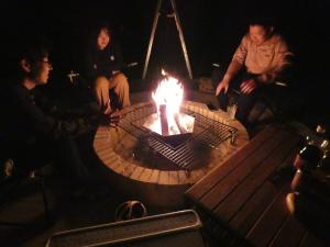 ホシヤドリ hoshiyadori