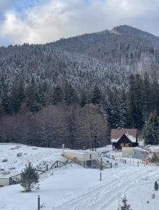 EVERGREEN Tále Apartments