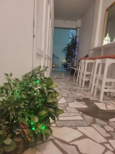 Evelina Pension Guest beach House-rooms and studios means vacation beside the sea-swimming in the sea-There is nothing like a morning walk on a beach-Beachlife definitely has a different vibe