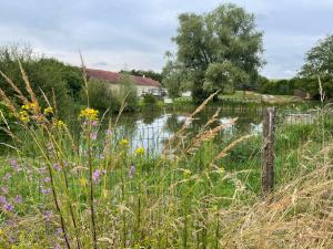 Au repos du Lezard, Tresors D Antan