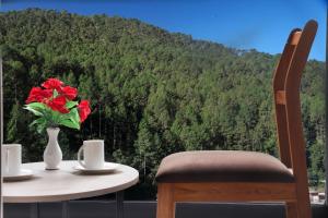 Vinsober Kainchi Dham Nainital