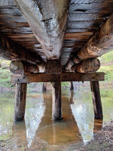 The May Queen - Footsteps in the Forest