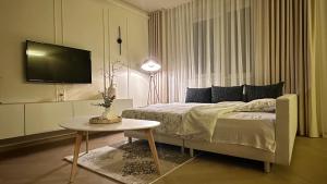 Central Brasov Apartment