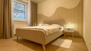 Central Brasov Apartment