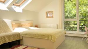 Central Sun Apartment