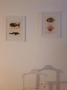 My Octopus House img22