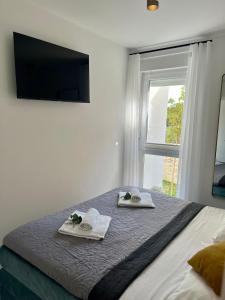 Salt & Stone - apartment with private pool