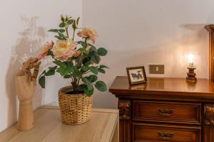 Stadio di San Siro - Spazioso appartamento