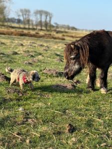 Ferienhof Faebrogaard