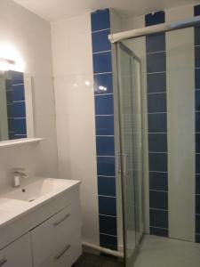 LIMOGES, joli appart !