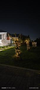 Azemeiras Country House