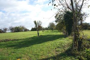 Agriturismo Venice Photobirding