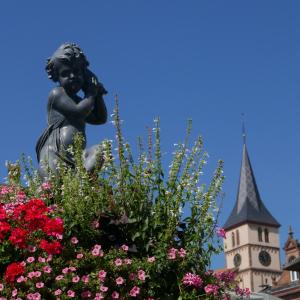 Appartements Le Bacchus : photos des chambres