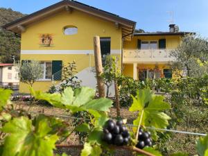 Sole e Luna nella Vigna