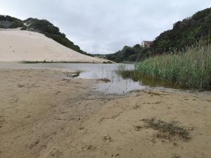 Christmas Rock, East London