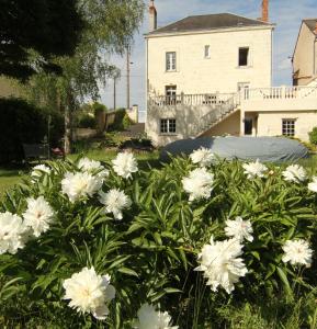 B&B / Chambres d'hotes La Lambertine & Spa : photos des chambres