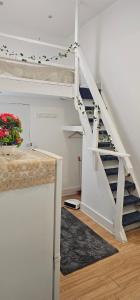 Studio Flat Central London