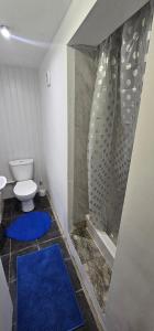 Studio Flat Central London