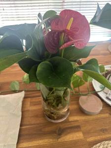 Soulful healing academy