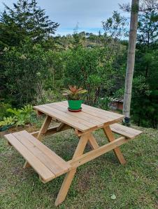 Finca y camping El Oasis