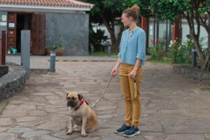 Hotel Rural Casablanca