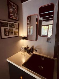 Tiny House The Bird House