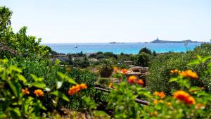 600m from the beach - Garden and Sea View img21