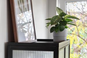 Wanderer Lodge am Breitenstein