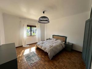 Ground level house with patio