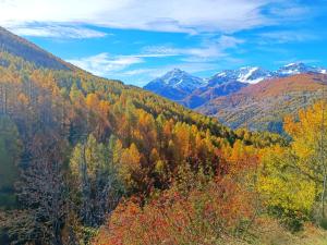 Casa Richardette Relax in the Woods