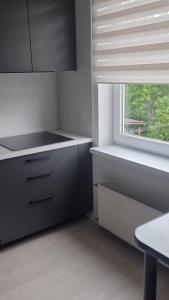 Pilsētas sirds apartamenti