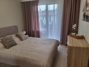 Pilsētas sirds apartamenti