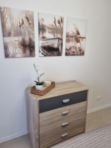 Pilsētas sirds apartamenti