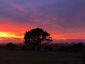 Wren Cottage at Trenale Court Cottages