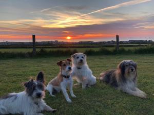 Wren Cottage at Trenale Court Cottages