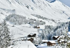 Les Chalets de LAiguille C001