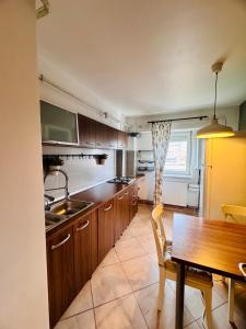 Apartament ultracentral Botanica