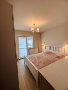 Apartament ultracentral Botanica