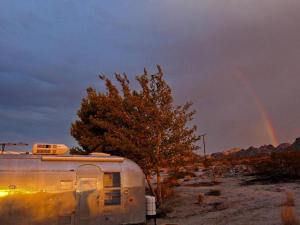 Mid-Century Cabin Minutes Away from Joshua Tree National Park