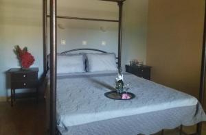 Savvas Studios Kos Greece