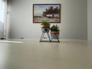 Sua Chave para o Sucesso - MC31